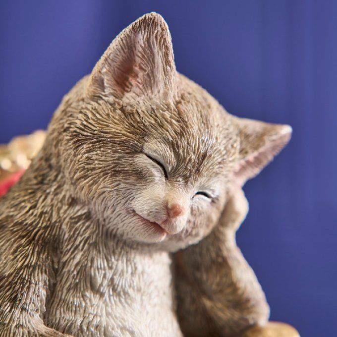 CHAT SUR FAUTEUIL - WERNS DECO