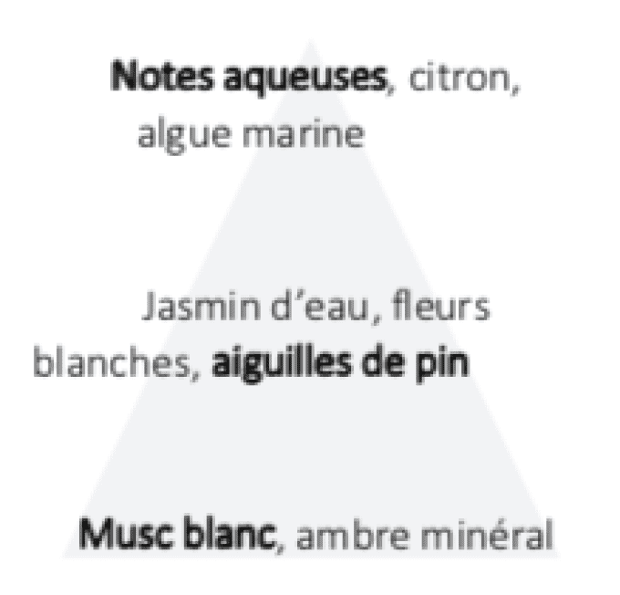Bougie-parfumée-Eclat-Minéral-Les-Précieuses-BLF