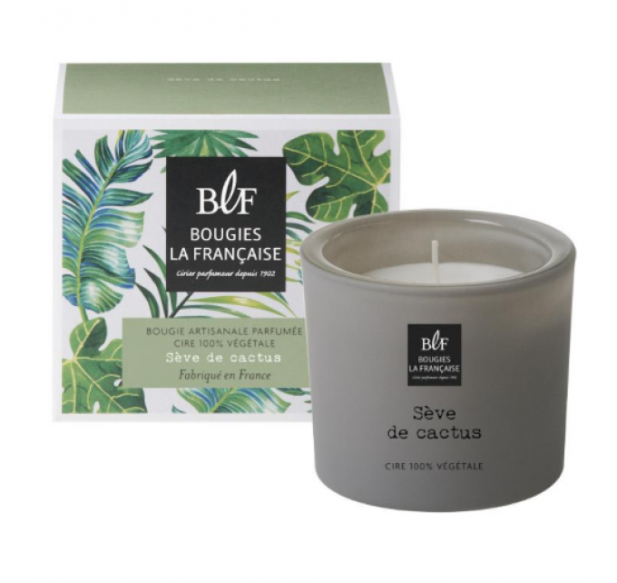 Bougie parfumée "Sève de Cactus" 35H - BLF