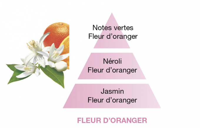 Recharge Fleur d'Oranger 500ml - Lampe Berger  