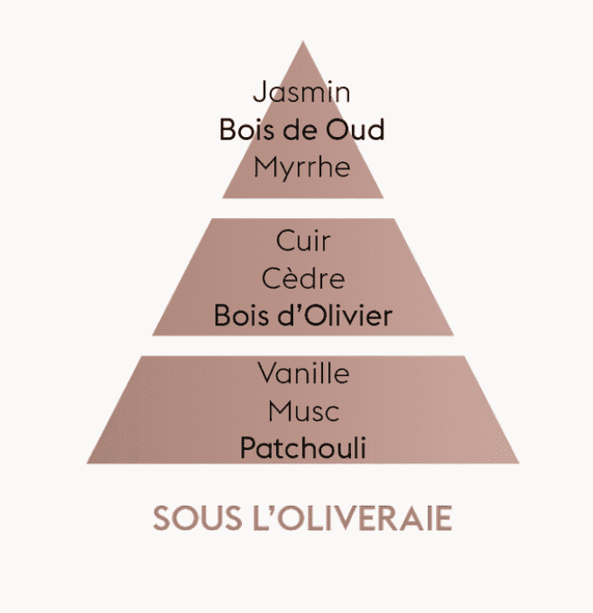 pyramide-olfactive-berger-sous-oliveraie