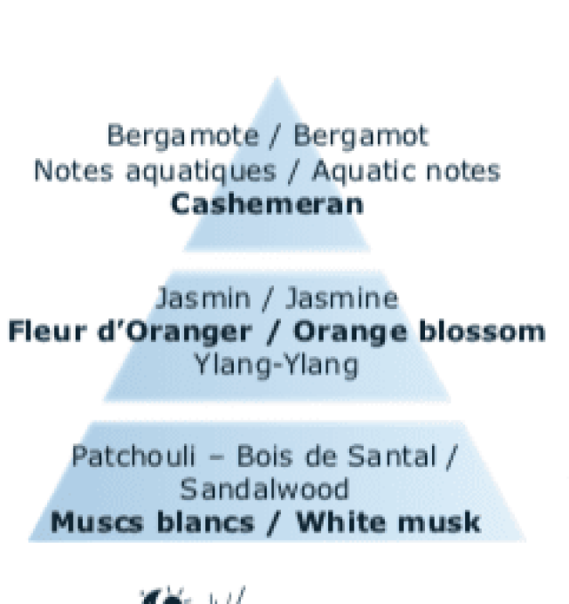 pyramide-olfactive-cachemire-blanc