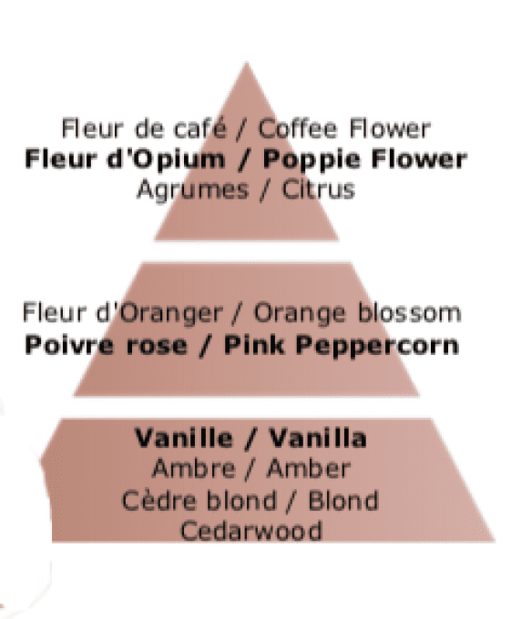 pyramide-olfactive-lampe-berger-parfum-maison-velours-orient