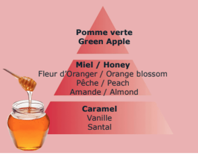 miel-gourmand-lampe-berger-parfum-maison-parfum-français