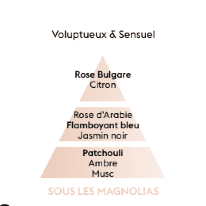 nouveauté-bouquet-parfume-sous-les-magnolias-parfum-berger