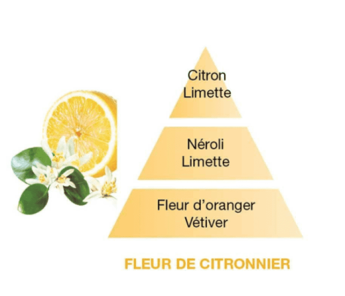 BOUQUET PARFUMÉ FLEUR DE CITRONNIER - PARFUM BERGER