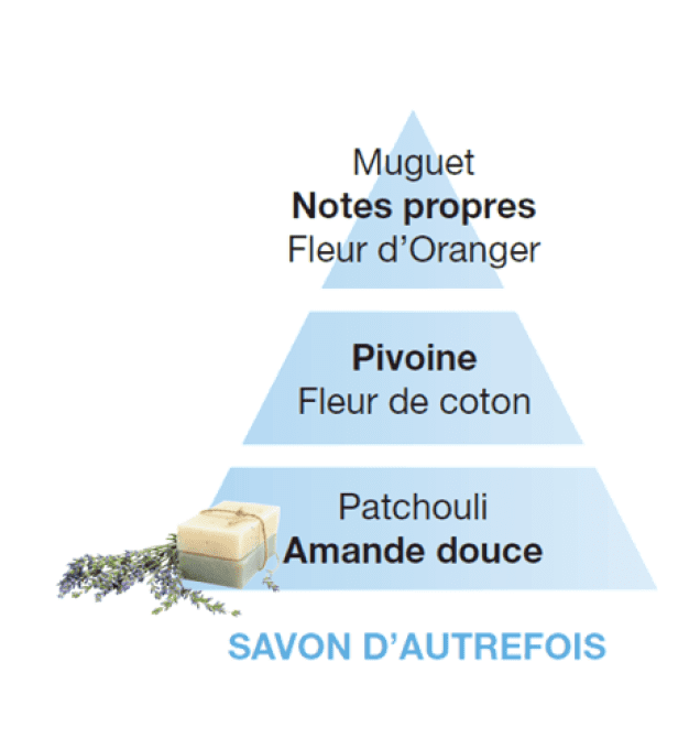 BOUQUET PARFUMÉ SAVON D'AUTREFOIS - PARFUM BERGER  