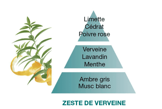 pyramide-olfactive-berger-zeste-de-verveine