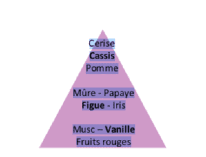 bougie-parfumee-darbie-angell-la-francaise-reverie-mystérieuse