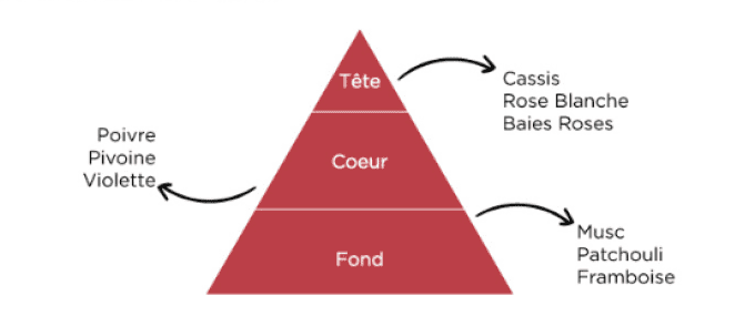 Diffuseur de Parfum Baies de Roses - DURANCE