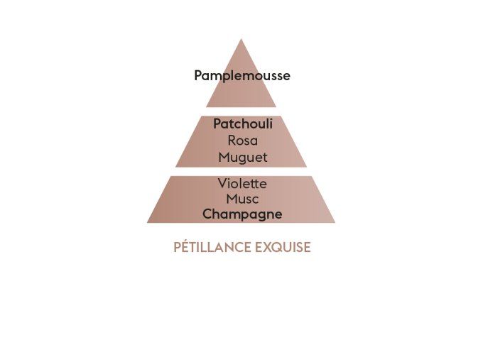 BOUQUET PARFUMÉ PETILLANCE EXQUISE - PARFUM BERGER  