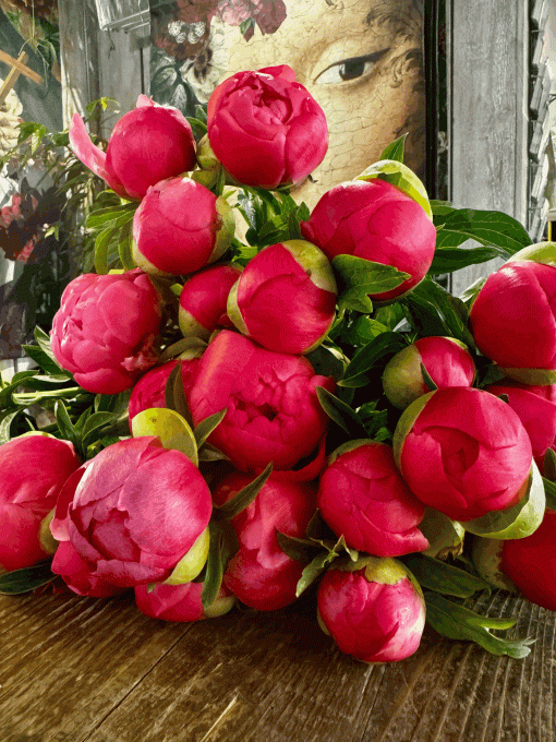 Bouquet de Pivoines - BY L'OTANTIQUE