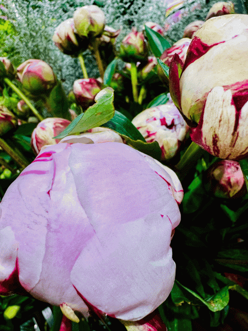 Bouquet FÊTE  DES MÈRES - BY L'OTANTIQUE 