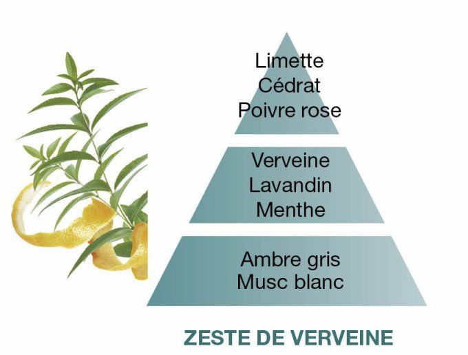 BOUQUET PARFUMÉ ZESTE DE VERVEINE - PARFUM BERGER 